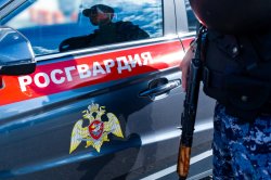 В Подмосковье сотрудники Росгвардии задержали подозреваемого в краже В Подмосковье сотрудники Росгвардии задержали подозреваемого в краже
