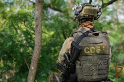 В ЛНР при силовой поддержке спецназа Росгвардии задержан бывший военнослужащий украинского нацбатальона В ЛНР при силовой поддержке спецназа Росгвардии задержан бывший военнослужащий украинского нацбатальона