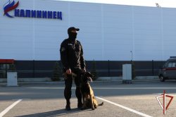 Росгвардия приняла участие в обеспечении безопасности финала «Королевы спорта 2025» в Екатеринбурге Росгвардия приняла участие в обеспечении безопасности финала «Королевы спорта 2025» в Екатеринбурге