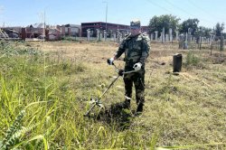 В Чеченской Республике росгвардейцы продолжают участвовать в акции «На страже памяти» В Чеченской Республике росгвардейцы продолжают участвовать в акции «На страже памяти»