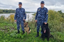 Кинологи СИЗО-3 ГУФСИН России по Красноярскому краю со служебными собаками нашли потерявшегося в лесу мужчину Кинологи СИЗО-3 ГУФСИН России по Красноярскому краю со служебными собаками нашли потерявшегося в лесу мужчину