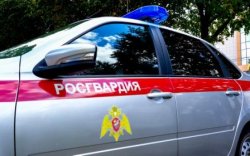 Сотрудники Росгвардии задержали гражданина, подозреваемого в совершении кражи товара из магазина в Йошкар-Оле Сотрудники Росгвардии задержали гражданина, подозреваемого в совершении кражи товара из магазина в Йошкар-Оле
