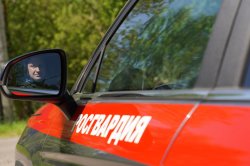 На юге столицы росгвардейцы задержали мужчину с наркотиками На юге столицы росгвардейцы задержали мужчину с наркотиками