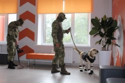 Сотрудники Росгвардии обеспечивают безопасное проведение Дня знаний Сотрудники Росгвардии обеспечивают безопасное проведение Дня знаний