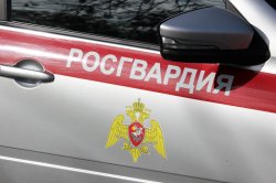 В Самаре росгвардейцы обеспечили безопасность футбольного матча РПЛ В Самаре росгвардейцы обеспечили безопасность футбольного матча РПЛ