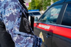 В Подмосковье росгвардейцы задержали гражданина, спровоцировавшего конфликт в торговой точке В Подмосковье росгвардейцы задержали гражданина, спровоцировавшего конфликт в торговой точке
