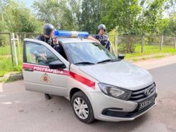 Новгородские росгвардейцы задержали гражданина, похитившего товар из магазина Новгородские росгвардейцы задержали гражданина, похитившего товар из магазина