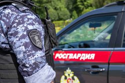 Росгвардейцы за неделю пресекли ряд правонарушений в Крыму и Севастополе Росгвардейцы за неделю пресекли ряд правонарушений в Крыму и Севастополе