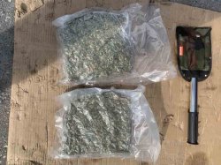Новгородские полицейские задержали наркокурьера, перевозившего свыше килограмма марихуаны Новгородские полицейские задержали наркокурьера, перевозившего свыше килограмма марихуаны