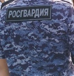 Росгвардейцы задержали мужчину находящегося в федеральном розыске Росгвардейцы задержали мужчину находящегося в федеральном розыске