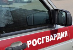 Росгвардейцы нашли и вернули родителям потерявшегося ребёнка в Симферополе Росгвардейцы нашли и вернули родителям потерявшегося ребёнка в Симферополе