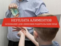 Гражданин оплатил полмиллиона рублей сыну, чтобы не попасть под уголовную статью Гражданин оплатил полмиллиона рублей сыну, чтобы не попасть под уголовную статью
