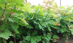 �������� ���� ������ ����������� ��������� �������������� ����������� ������������� ������� � ��������� ��������� �������� ������