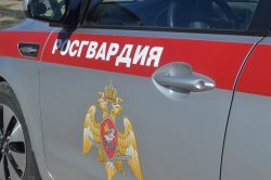 За неделю карельские росгвардейцы пресекли четырнадцать попыток хищения За неделю карельские росгвардейцы пресекли четырнадцать попыток хищения