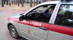 Росгвардейцы задержали подозреваемую в краже товаров из гипермаркета в Тамбове Росгвардейцы задержали подозреваемую в краже товаров из гипермаркета в Тамбове