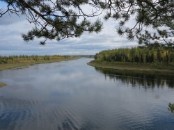 Тунгусскому заповеднику исполнилось 30 лет Тунгусскому заповеднику исполнилось 30 лет