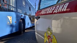 Росгвардейцы задержали ******** в Севастополе Росгвардейцы задержали ******** в Севастополе