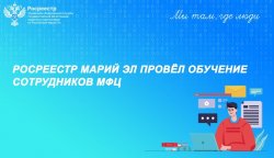 Росреестр Марий Эл провёл обучение сотрудников МФЦ Росреестр Марий Эл провёл обучение сотрудников МФЦ
