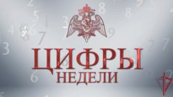 В столичном главке Росгвардии подвели итоги недели В столичном главке Росгвардии подвели итоги недели