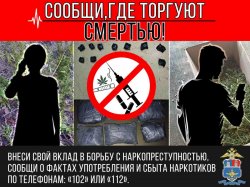 УТ МВД России по Северо-Кавказскому Федеральному округу проводится второй этап Общероссийской акции «Сообщи, где торгуют смертью!» УТ МВД России по Северо-Кавказскому Федеральному округу проводится второй этап Общероссийской акции «Сообщи, где торгуют смертью!»