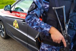 В Коломне росгвардейцы задержали рецидивиста, пытавшегося вынести алкоголь из магазина В Коломне росгвардейцы задержали рецидивиста, пытавшегося вынести алкоголь из магазина