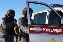 Сотрудники Росгвардии пришли на помощь упавшему на проезжей части мужчине в Магадане Сотрудники Росгвардии пришли на помощь упавшему на проезжей части мужчине в Магадане