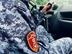 Около 200 оперативных выездов осуществили росгвардейцы Поморья за неделю Около 200 оперативных выездов осуществили росгвардейцы Поморья за неделю