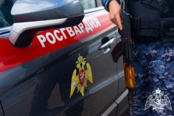 В Подмосковье росгвардейцы пресекли кражу морепродуктов и тропических фруктов В Подмосковье росгвардейцы пресекли кражу морепродуктов и тропических фруктов