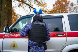 Росгвардейцы пресекли кражу в Подмосковье  Росгвардейцы пресекли кражу в Подмосковье