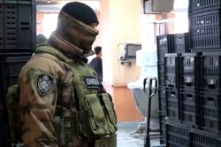 При участии ОМОН Росгвардии в Зауралье пресечено свыше 330 нарушений миграционного законодательства При участии ОМОН Росгвардии в Зауралье пресечено свыше 330 нарушений миграционного законодательства