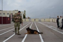 Росгвардейцы провели тематическую встречу для тамбовских учащихся в честь Дня народного единства Росгвардейцы провели тематическую встречу для тамбовских учащихся в честь Дня народного единства