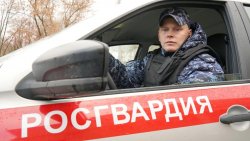 Сотрудники вневедомственной охраны задержали подозреваемого в хищении и пресекли ************ title=