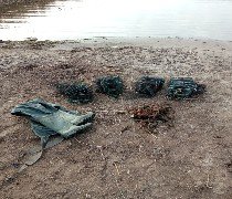 В Саратове сотрудниками транспортной полиции пресечен факт незаконной добычи водных биоресурсов В Саратове сотрудниками транспортной полиции пресечен факт незаконной добычи водных биоресурсов