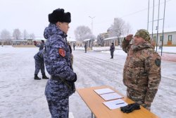 � ��������� ���������� ���������� ���������� ������������ ���������� �� �������� ���������