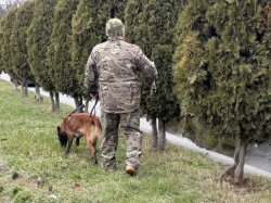 ���������� ���������� ������������ � ���������� ���� � ���������-��������