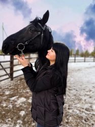 ��������� ������ �����������