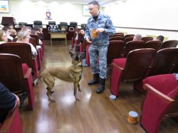 ��������� ������������ ����������� ������� �������������� ��������