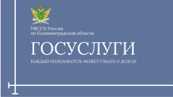 ��������������� ��������: � ������ ����� ������ �� ���������� 