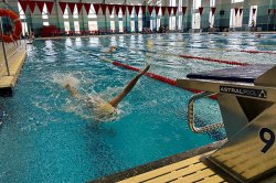 ������� ����������� �������� ������ ����� ������������ ������������� ������������ �� ��������