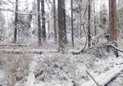 ������ �� ������������������� ������������ ���������� � �������� �������