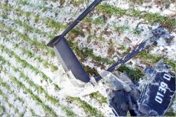 ������������ � ����������� � ���������� �������� �� ������ ���������� 38 ������������� � ��� ������� ���� ���