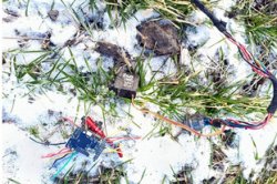 ������������ � ����������� � ���������� �������� �� ������ ���������� 38 ������������� � ��� ������� ���� ���