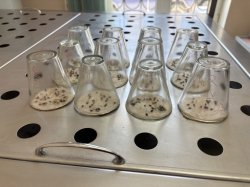 ����������� �������� ������������ ������� ���������� � ������ �������� ��� ������ �����