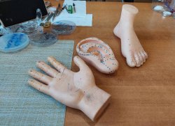 ���� � �����