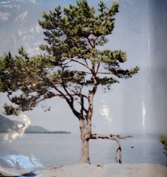 ���� � �����