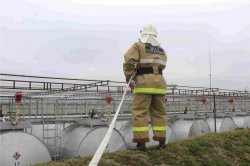 ���������� �������-����������� ������� ���������� � ��� ������ � �������