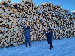 ������� ����� �� ���������� ����� ����