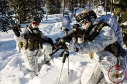 ���������� ����������� ���� ������ ������� ������� � ���������� ����������� ������