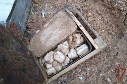 ������������ �� ������ ����������� ����� 400 ������������� ��������� � ���������� � ����������� ��������