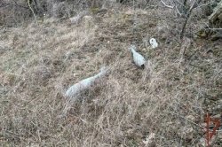 ������������ �� ������ ����������� ����� 400 ������������� ��������� � ���������� � ����������� ��������